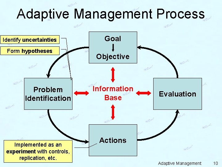 Adaptive Management Process Identify uncertainties Form hypotheses Problem Identification Implemented as an experiment with
