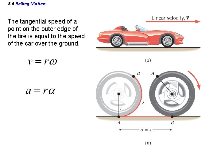 8. 6 Rolling Motion The tangential speed of a point on the outer edge