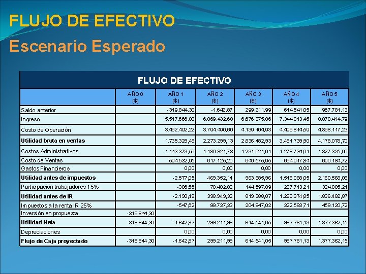 FLUJO DE EFECTIVO Escenario Esperado FLUJO DE EFECTIVO AÑO 0 ($) Saldo anterior AÑO