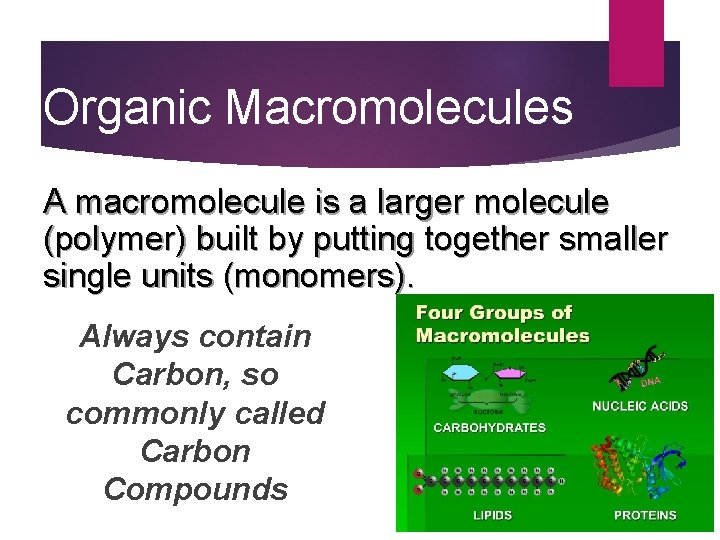 Organic Macromolecules A macromolecule is a larger molecule (polymer) built by putting together smaller