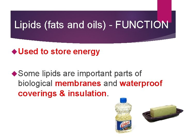 Lipids (fats and oils) - FUNCTION Used Some to store energy lipids are important