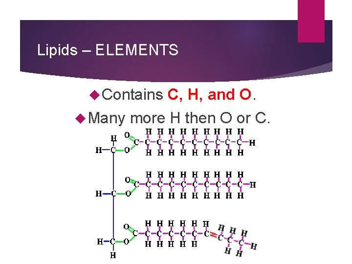 Lipids – ELEMENTS Contains Many C, H, and O. more H then O or