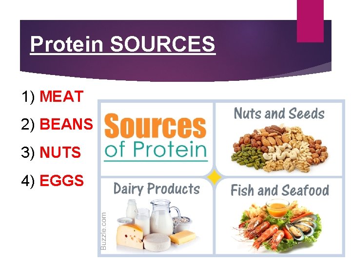 Protein SOURCES 1) MEAT 2) BEANS 3) NUTS 4) EGGS 