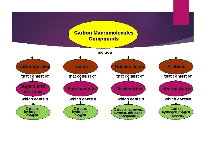 Carbon Macromolecules Compounds include Carbohydrates Lipids Nucleic acids that consist of Fats and oils