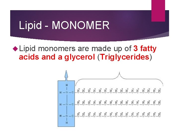 Lipid - MONOMER Lipid monomers are made up of 3 fatty acids and a