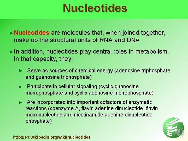 Nucleotides ►Nucleotides are molecules that, when joined together, make up the structural units of