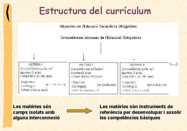 Estructura del currículum Les matèries són camps isolats amb alguna interconnexió Les matèries són