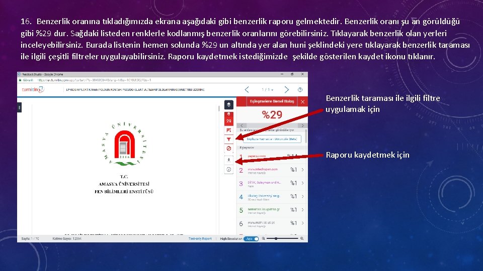 16. Benzerlik oranına tıkladığımızda ekrana aşağıdaki gibi benzerlik raporu gelmektedir. Benzerlik oranı şu an