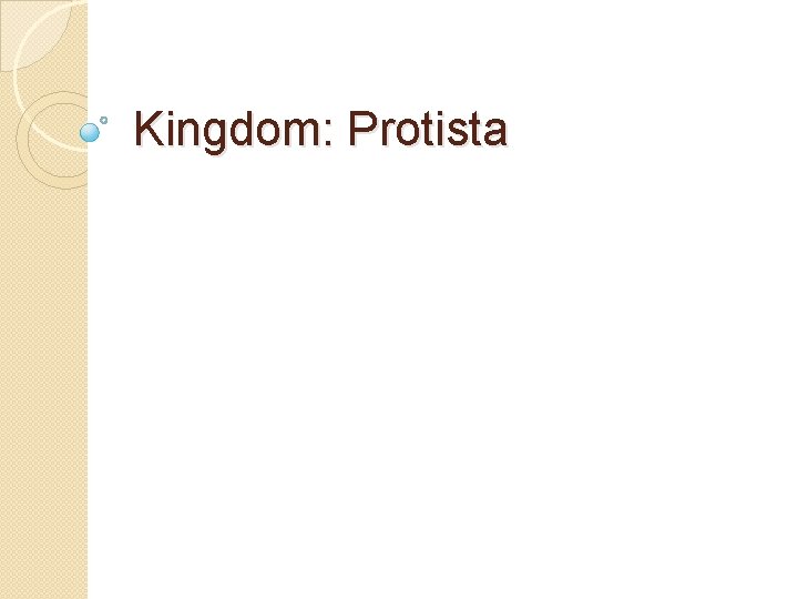 Kingdom: Protista 