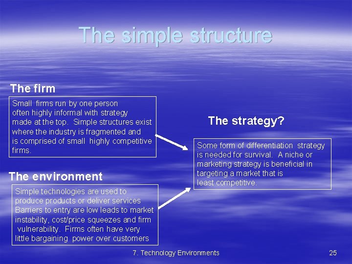 The simple structure The firm Small firms run by one person often highly informal