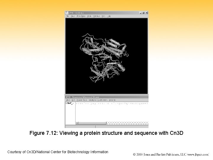 Figure 7. 12: Viewing a protein structure and sequence with Cn 3 D Courtesy