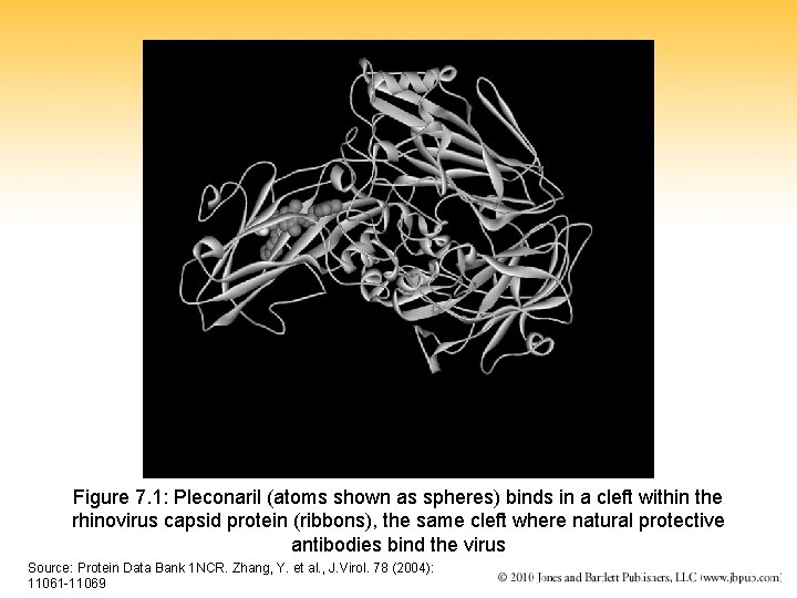 Figure 7. 1: Pleconaril (atoms shown as spheres) binds in a cleft within the