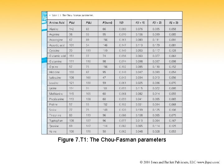 Figure 7. T 1: The Chou-Fasman parameters 