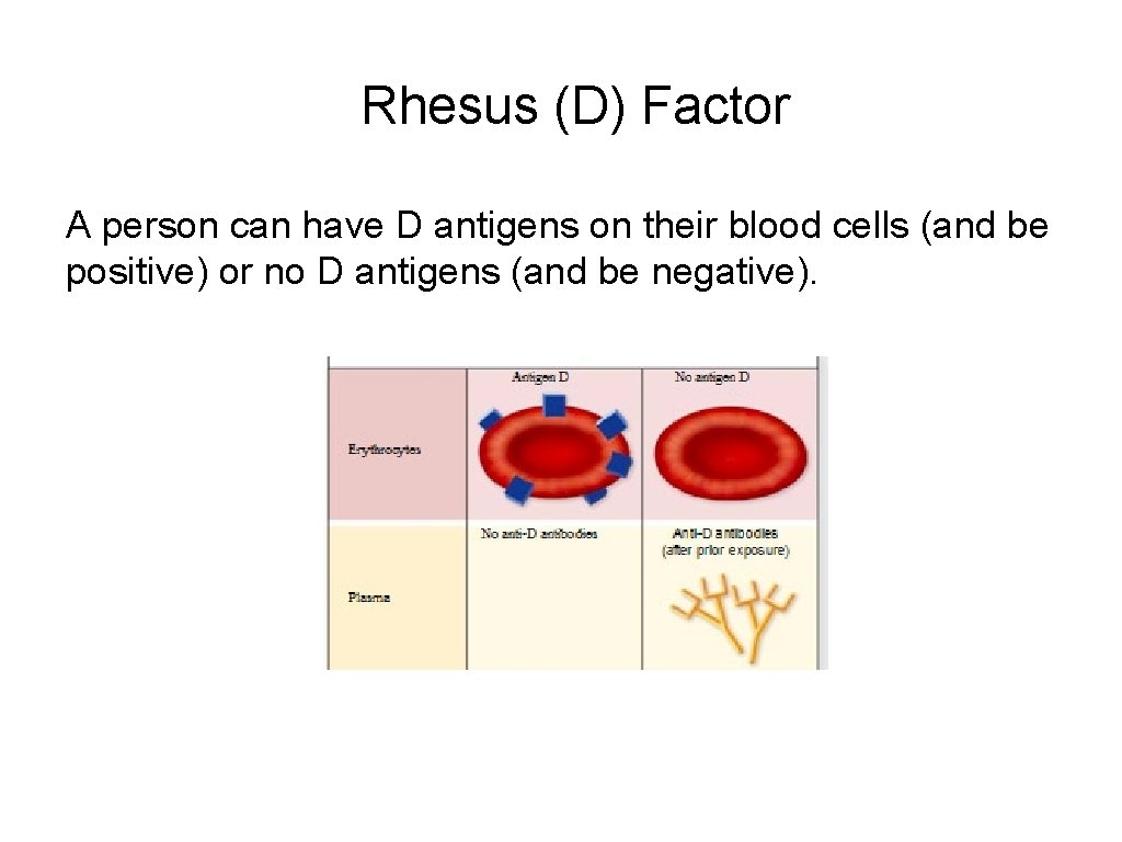 Rhesus (D) Factor A person can have D antigens on their blood cells (and