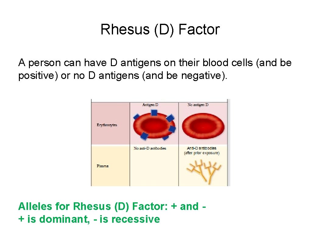 Rhesus (D) Factor A person can have D antigens on their blood cells (and