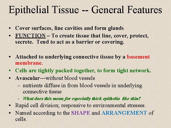 Epithelial Tissue -- General Features • Cover surfaces, line cavities and form glands •