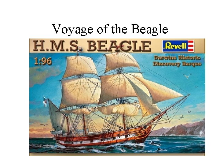 Voyage of the Beagle 