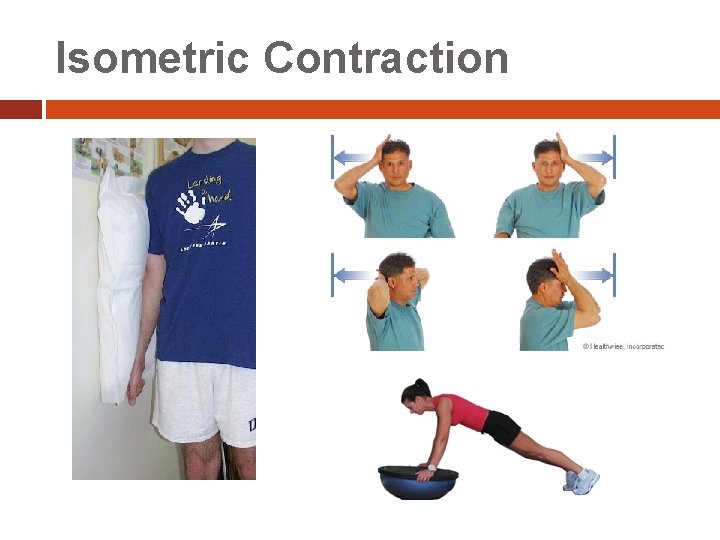 Isometric Contraction 