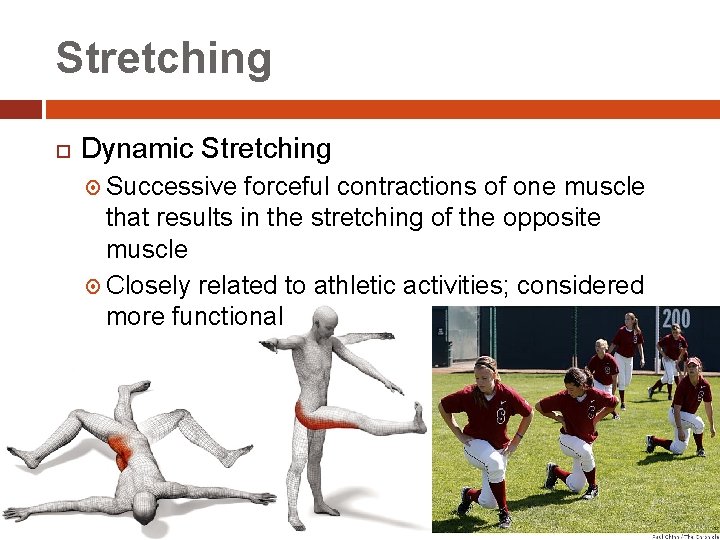 Stretching Dynamic Stretching Successive forceful contractions of one muscle that results in the stretching