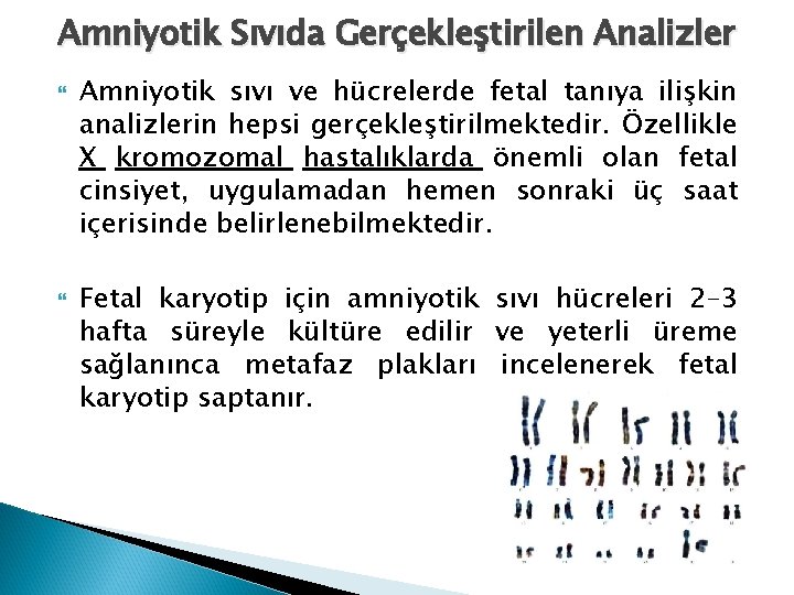 Amniyotik Sıvıda Gerçekleştirilen Analizler Amniyotik sıvı ve hücrelerde fetal tanıya ilişkin analizlerin hepsi gerçekleştirilmektedir.