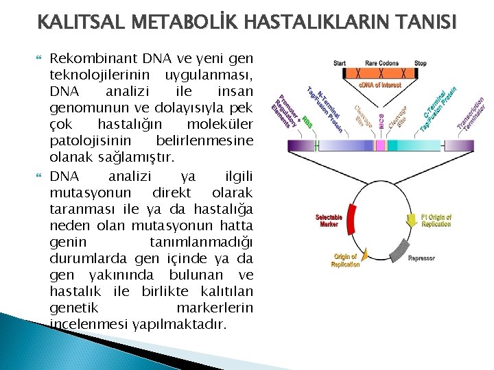 KALITSAL METABOLİK HASTALIKLARIN TANISI Rekombinant DNA ve yeni gen teknolojilerinin uygulanması, DNA analizi ile