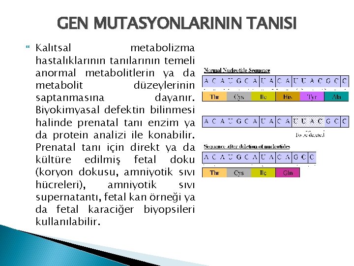 GEN MUTASYONLARININ TANISI Kalıtsal metabolizma hastalıklarının tanılarının temeli anormal metabolitlerin ya da metabolit düzeylerinin