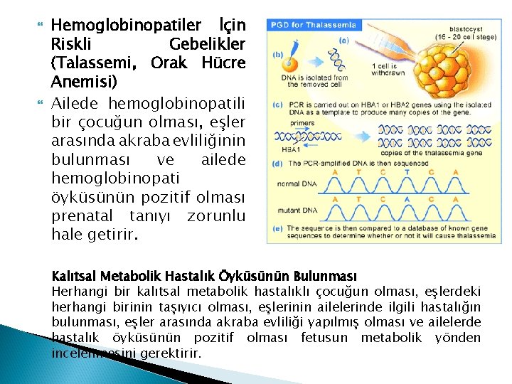  Hemoglobinopatiler İçin Riskli Gebelikler (Talassemi, Orak Hücre Anemisi) Ailede hemoglobinopatili bir çocuğun olması,