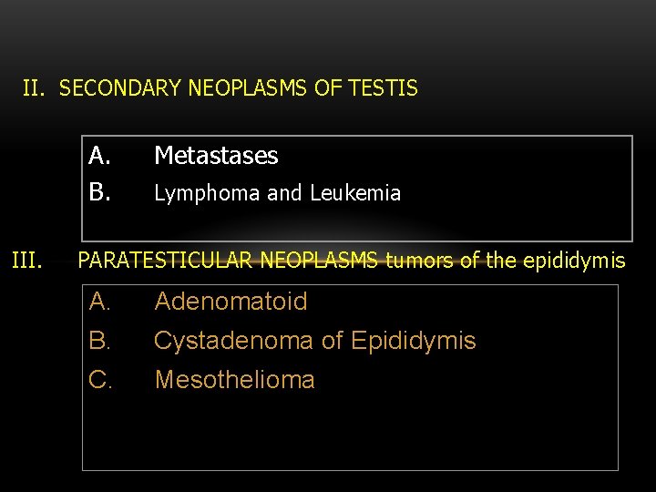 II. SECONDARY NEOPLASMS OF TESTIS A. B. III. Metastases Lymphoma and Leukemia PARATESTICULAR NEOPLASMS