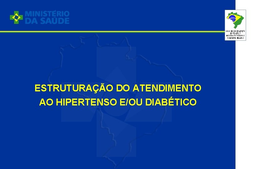 PLANO DE REORGANIZAÇÃO DA ATENÇÃO À HIPERTENSÃO ARTERIAL E AO DIABETES MELLITUS ESTRUTURAÇÃO DO