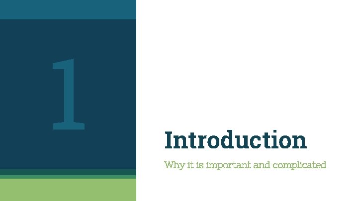 1 Introduction Why it is important and complicated 