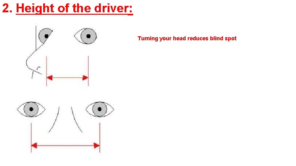 2. Height of the driver: Turning your head reduces blind spot 