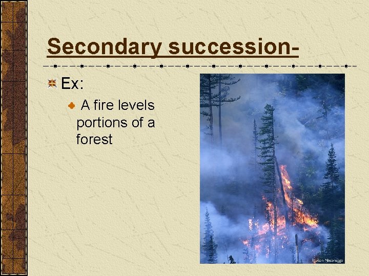Secondary succession. Ex: A fire levels portions of a forest 