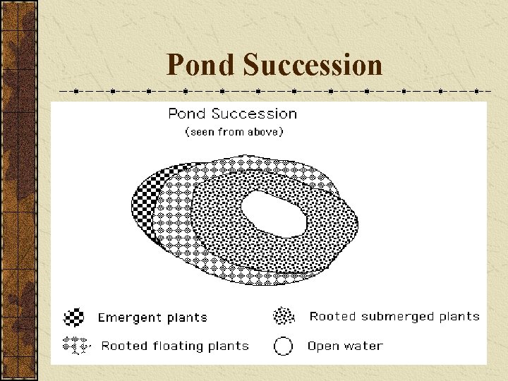 Pond Succession 