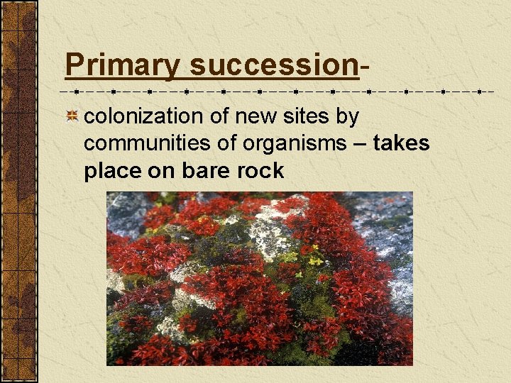 Primary successioncolonization of new sites by communities of organisms – takes place on bare