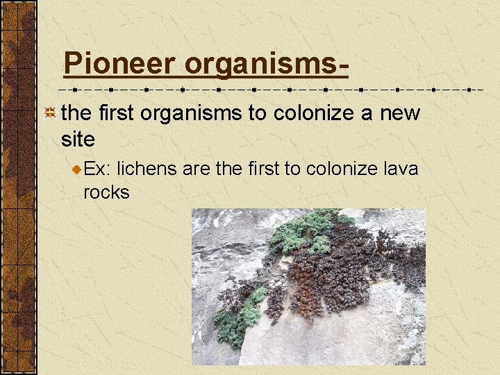 Pioneer organismsthe first organisms to colonize a new site Ex: lichens are the first