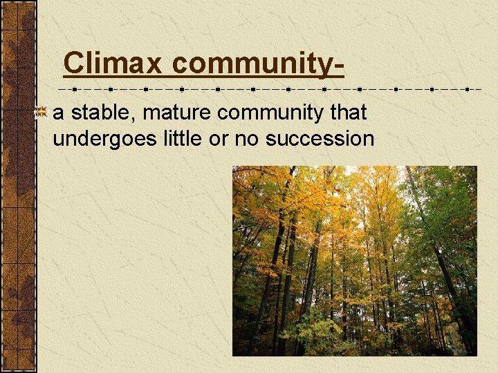 Climax communitya stable, mature community that undergoes little or no succession 