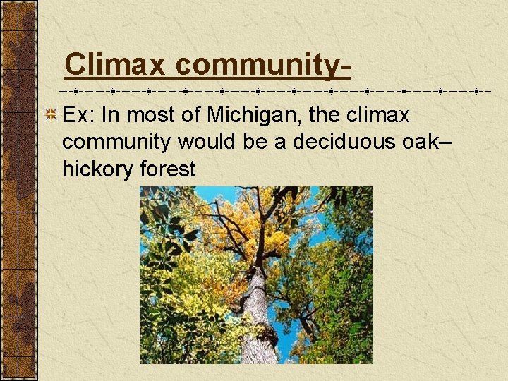 Climax community. Ex: In most of Michigan, the climax community would be a deciduous