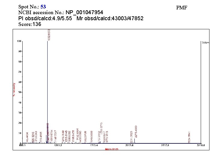 Spot No. : 53 NCBI accession No. : NP_001047954 PI obsd/calcd: 4. 9/5. 55