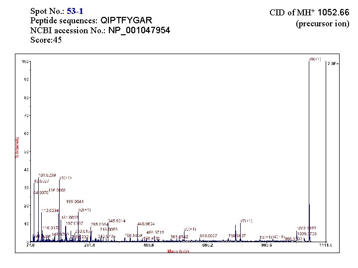 Spot No. : 53 -1 Peptide sequences: QIPTFYGAR NCBI accession No. : NP_001047954 Score: