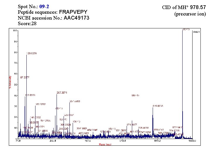 Spot No. : 09 -2 Peptide sequences: FRAPVEPY NCBI accession No. : AAC 49173