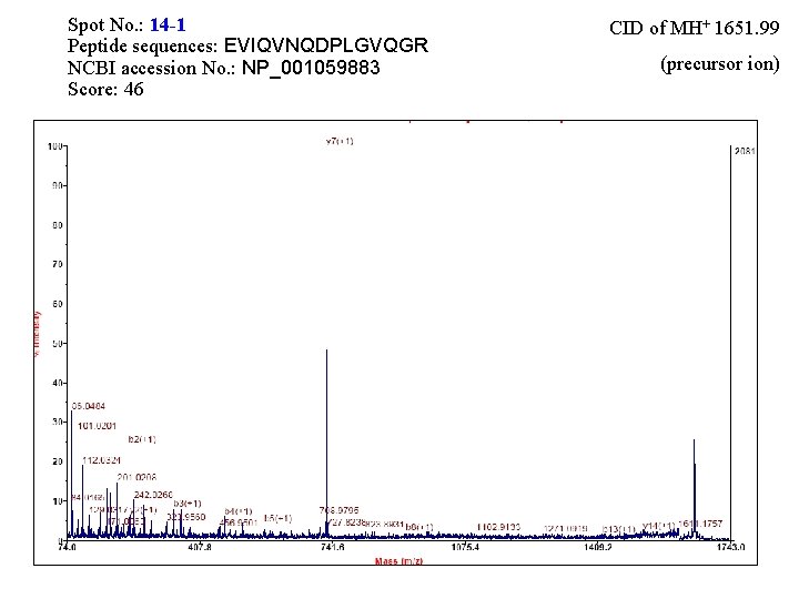 Spot No. : 14 -1 Peptide sequences: EVIQVNQDPLGVQGR NCBI accession No. : NP_001059883 Score: