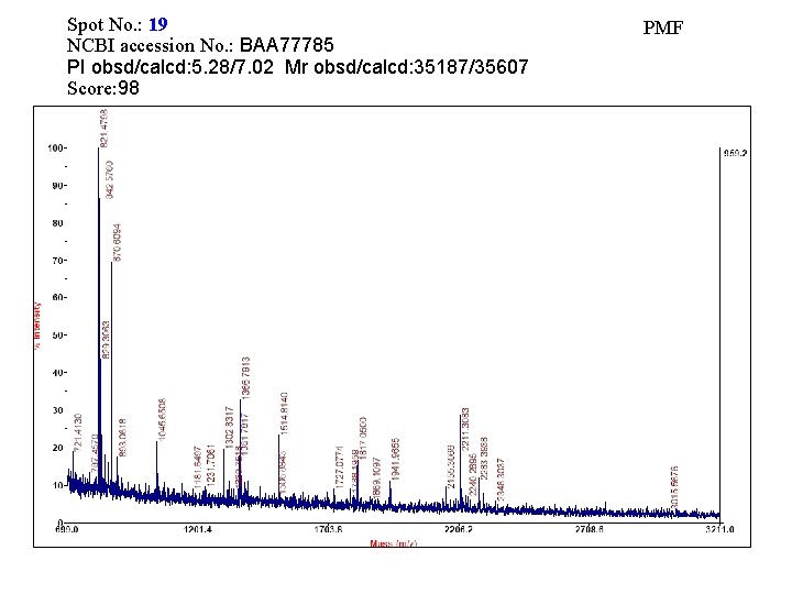 Spot No. : 19 NCBI accession No. : BAA 77785 PI obsd/calcd: 5. 28/7.