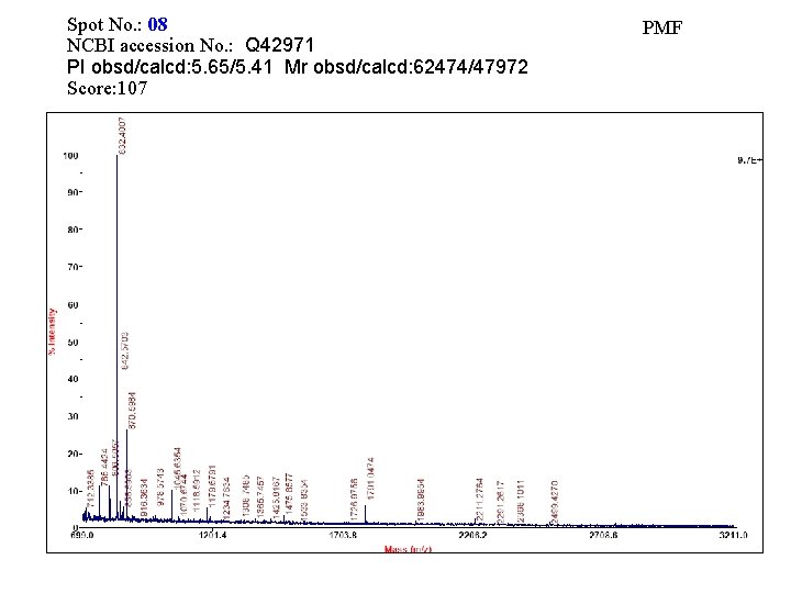 Spot No. : 08 NCBI accession No. : Q 42971 PI obsd/calcd: 5. 65/5.