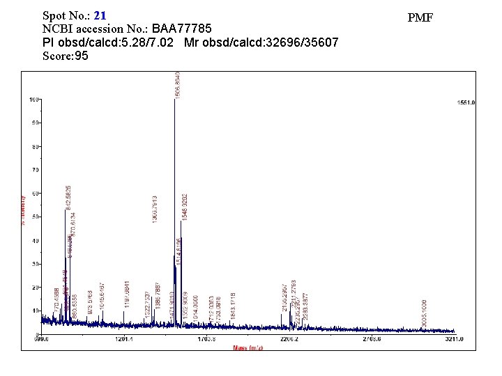 Spot No. : 21 NCBI accession No. : BAA 77785 PI obsd/calcd: 5. 28/7.