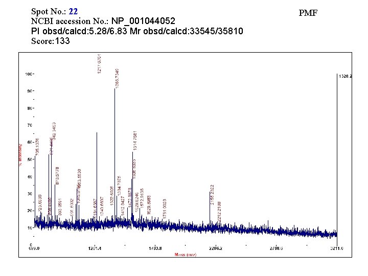 Spot No. : 22 NCBI accession No. : NP_001044052 PI obsd/calcd: 5. 28/6. 83