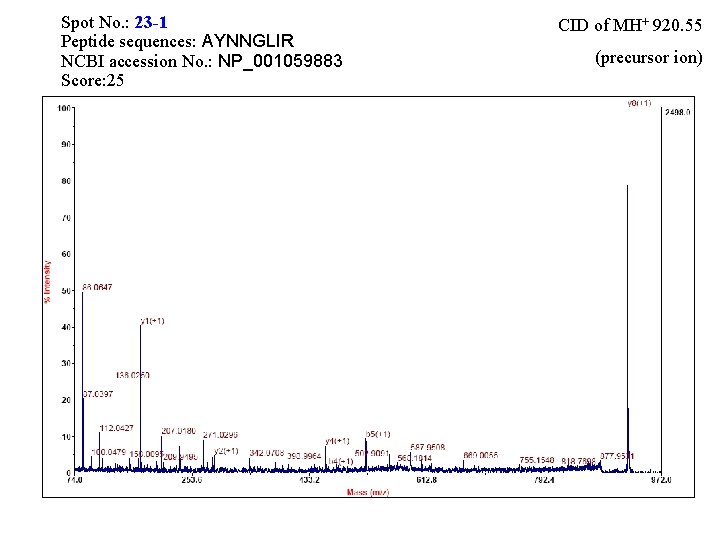 Spot No. : 23 -1 Peptide sequences: AYNNGLIR NCBI accession No. : NP_001059883 Score: