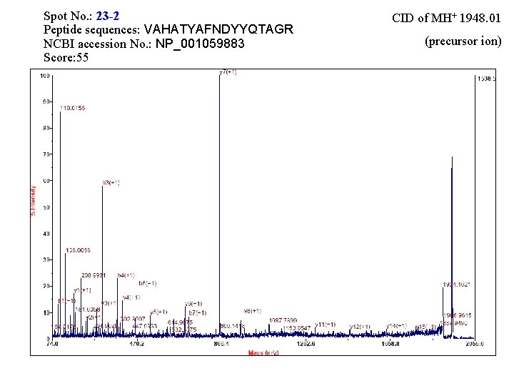 Spot No. : 23 -2 Peptide sequences: VAHATYAFNDYYQTAGR NCBI accession No. : NP_001059883 Score: