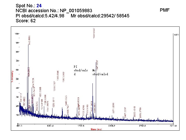 Spot No. : 24 NCBI accession No. : NP_001059883 PI obsd/calcd: 5. 42/4. 98