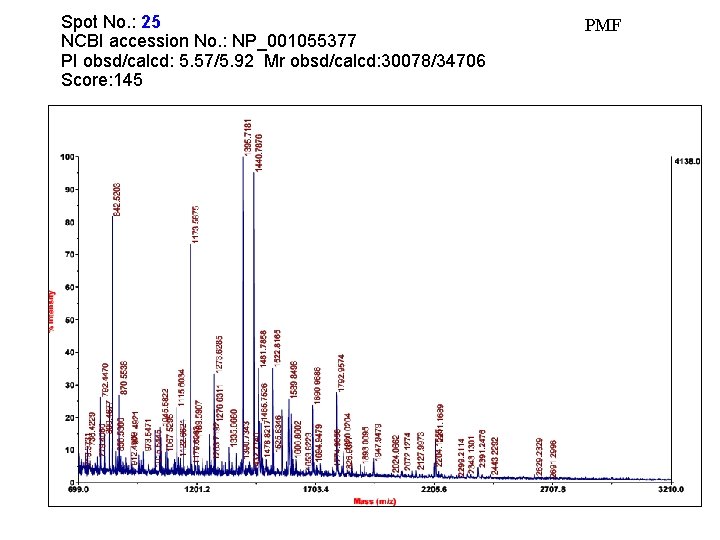 Spot No. : 25 NCBI accession No. : NP_001055377 PI obsd/calcd: 5. 57/5. 92