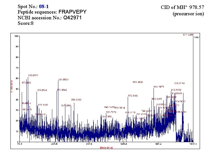 Spot No. : 08 -1 Peptide sequences: FRAPVEPY NCBI accession No. : Q 42971